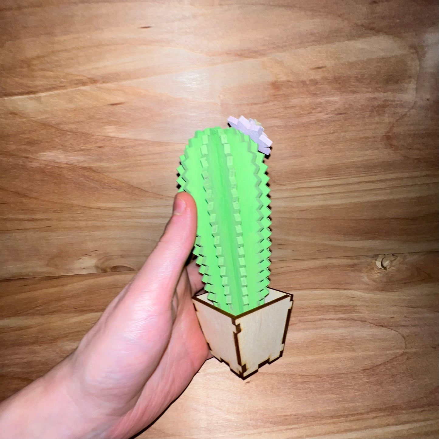 Cactus Tabletop Decor