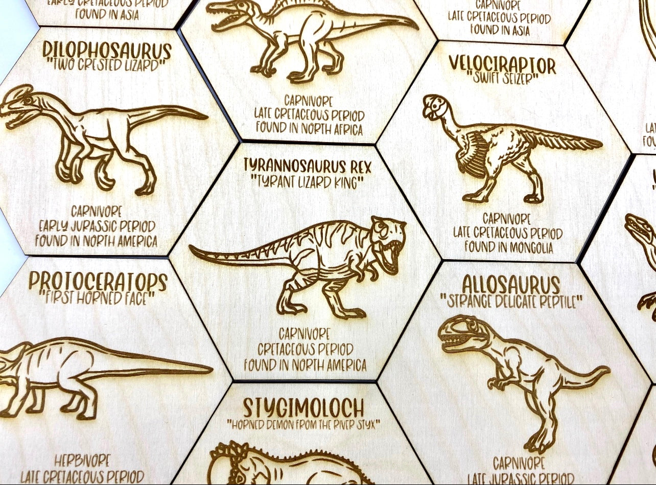 Dinosaur Fact Tokens Set of 18