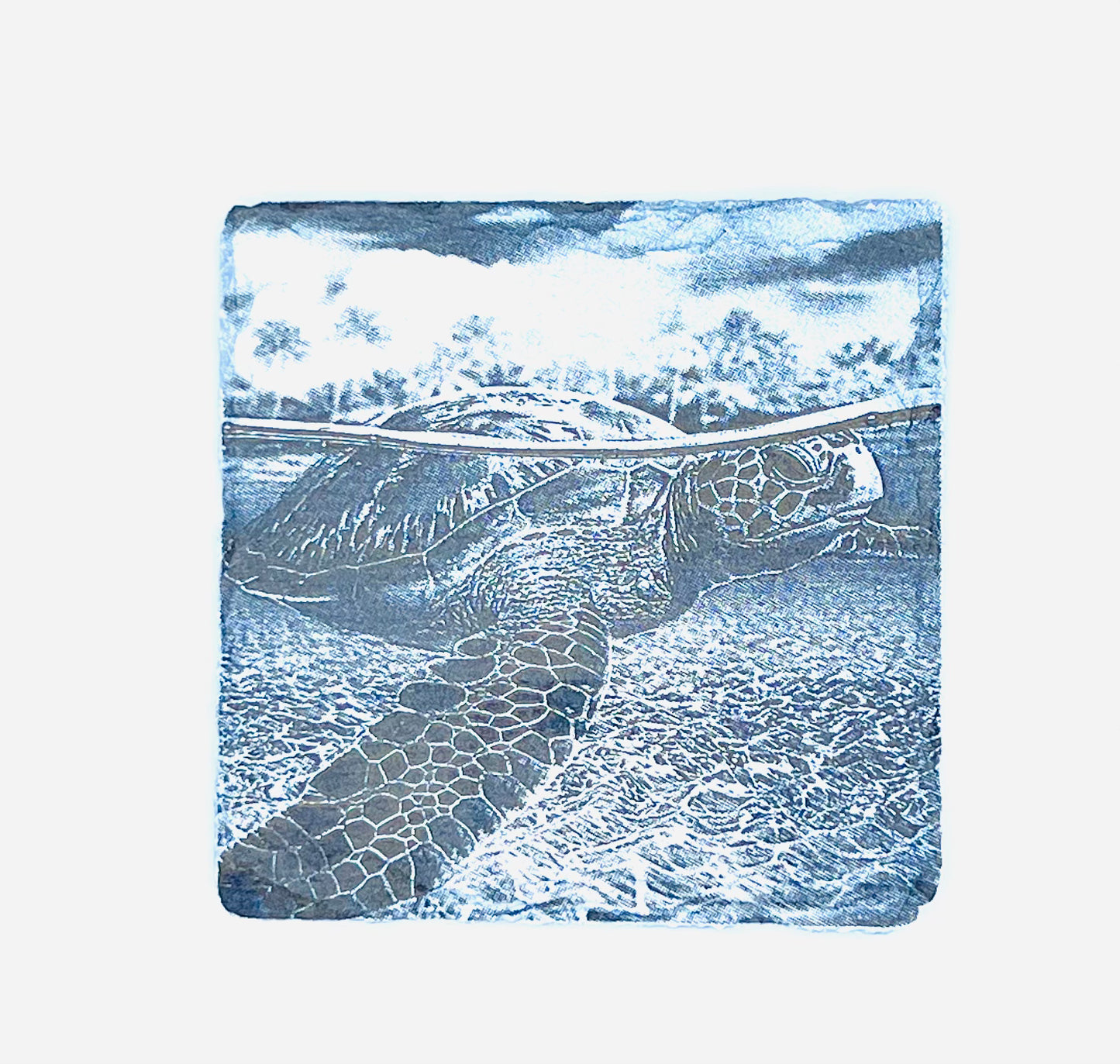 Swimming Sea Turtle Engraved on Slate Coaster Set