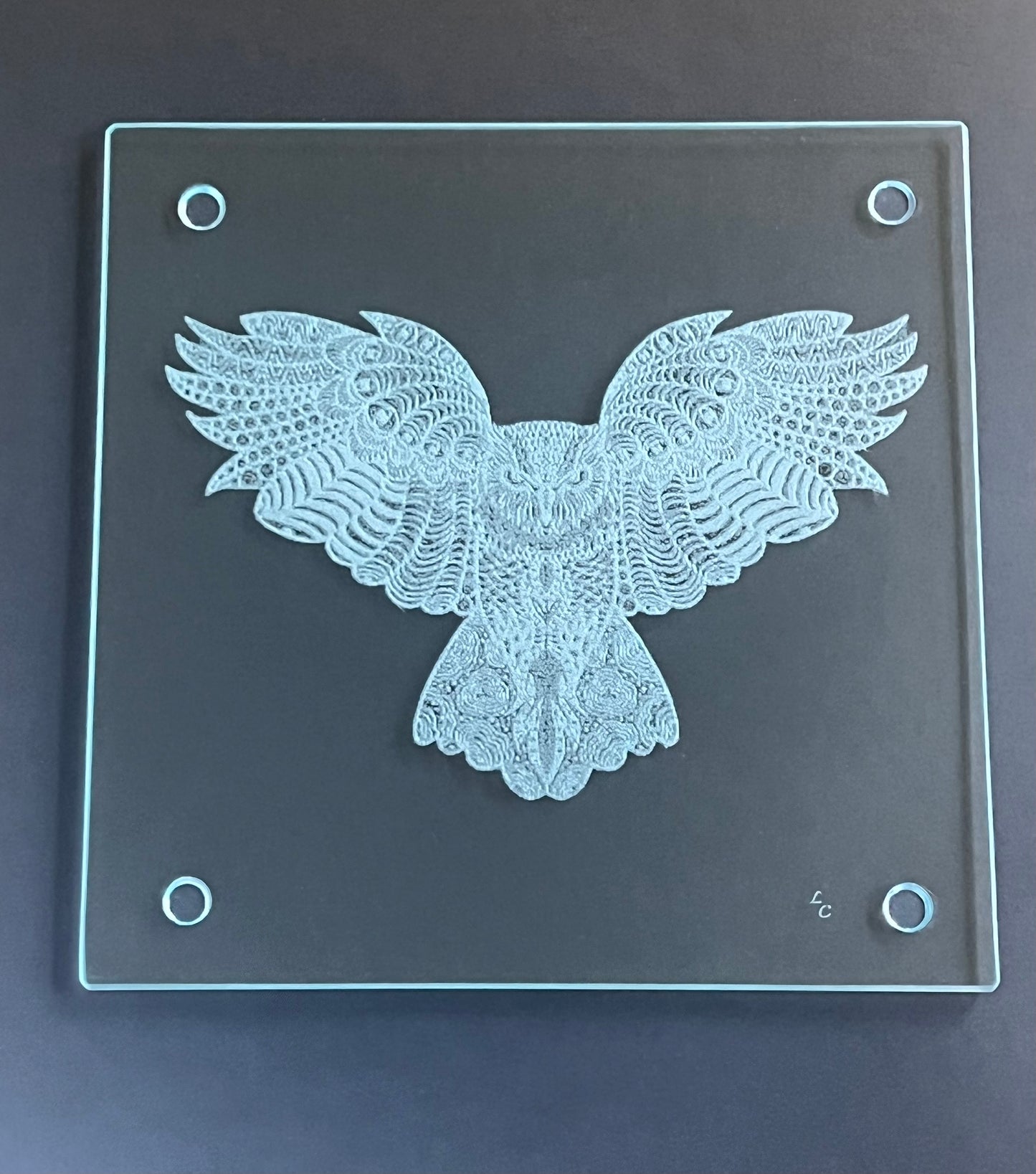 Owl, Laser Engraved Glass