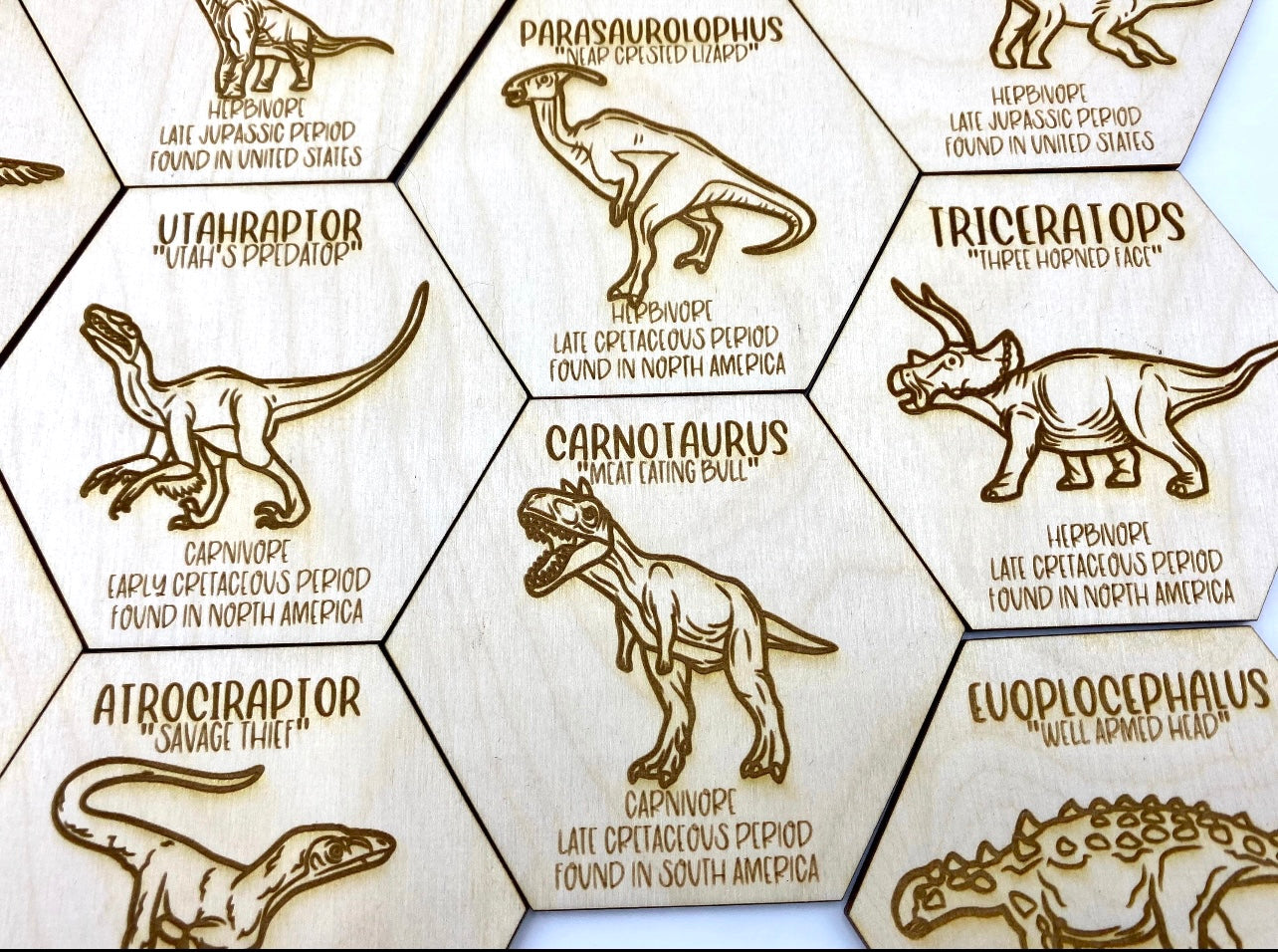 Dinosaur Fact Tokens Set of 18