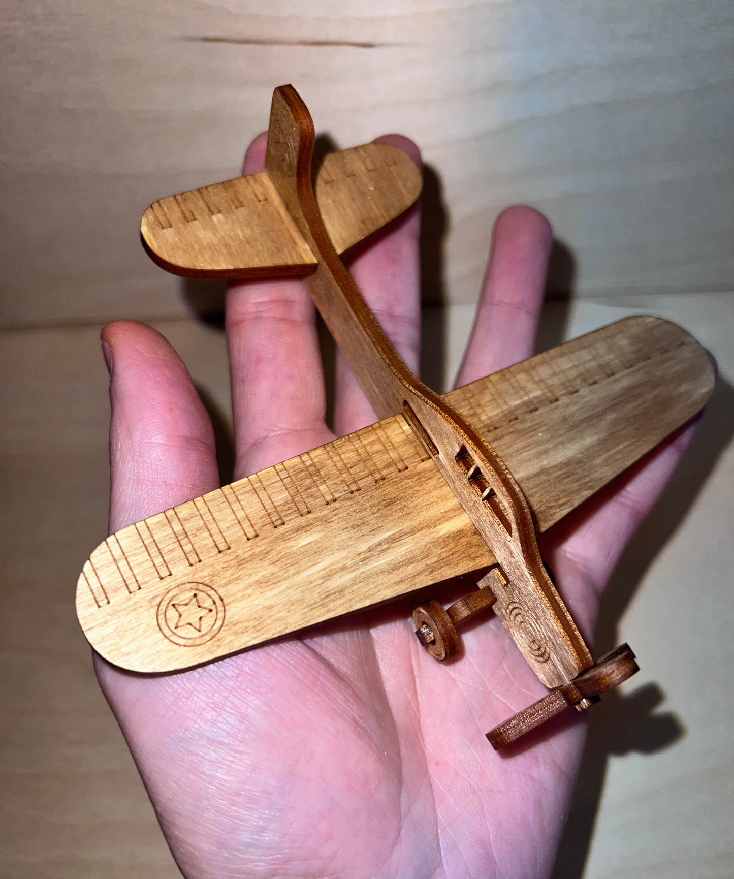 Single Propeller Model Airplane