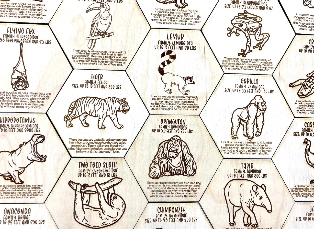 Jungle Animal Fact Tokens Set of 18