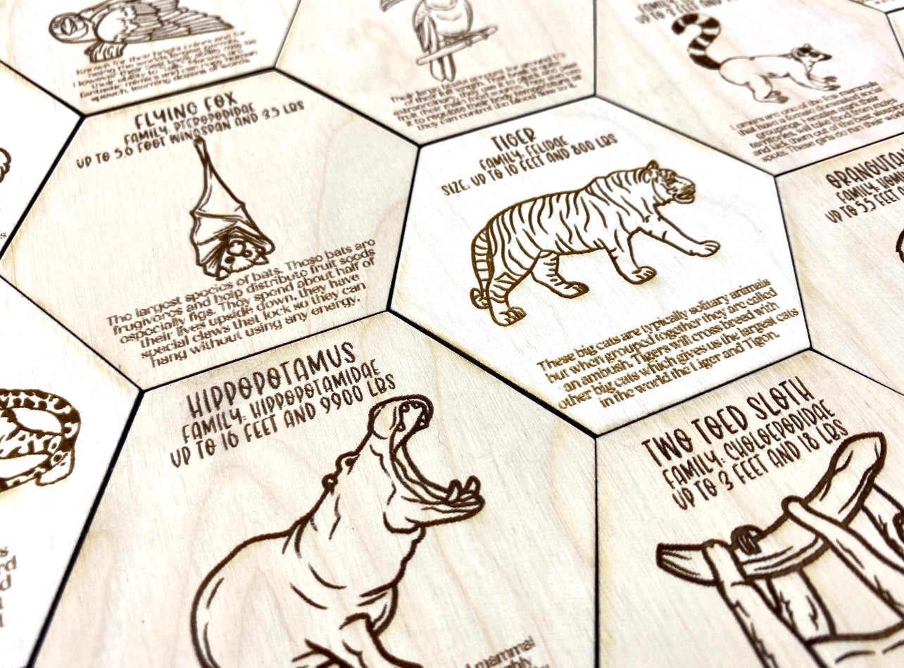 Jungle Animal Fact Tokens Set of 18