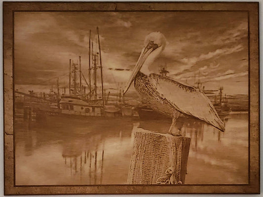Pelican with Boats, Wood Engraved