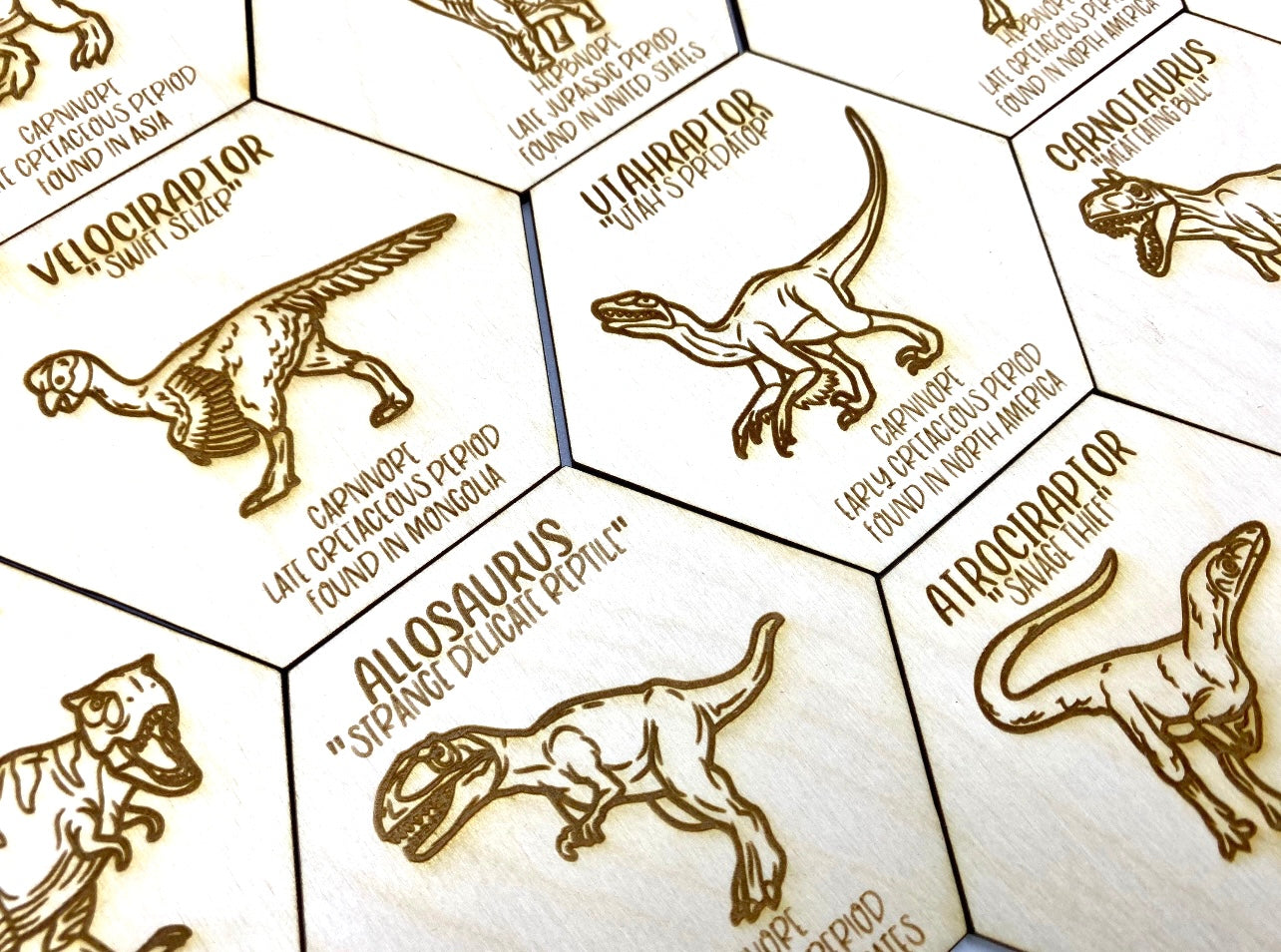 Dinosaur Fact Tokens Set of 18