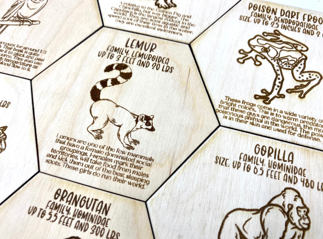 Jungle Animal Fact Tokens Set of 18