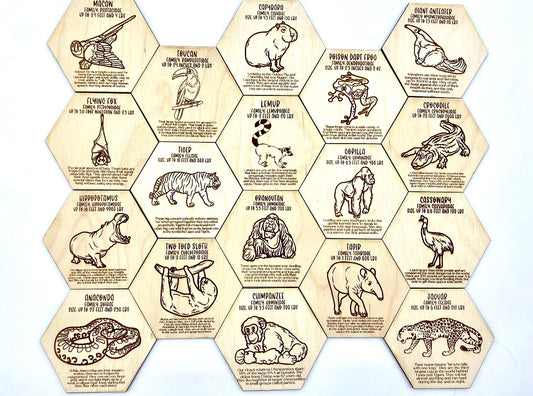 Jungle Animal Fact Tokens Set of 18