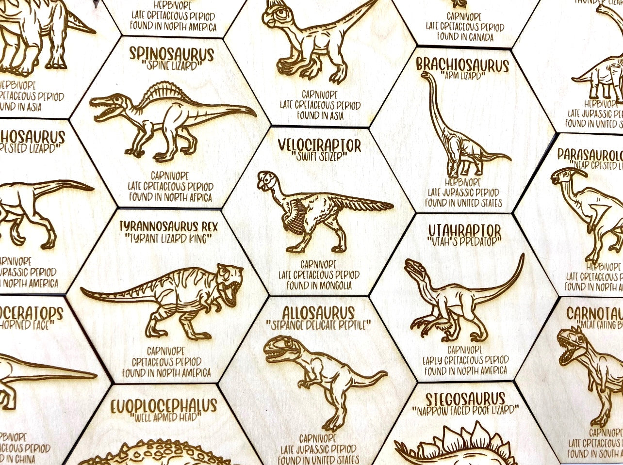 Dinosaur Fact Tokens Set of 18