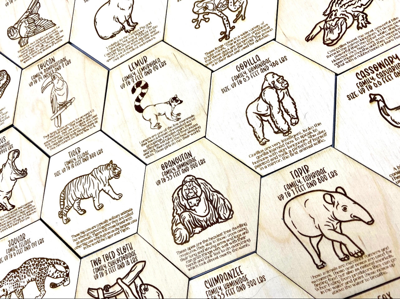 Jungle Animal Fact Tokens Set of 18