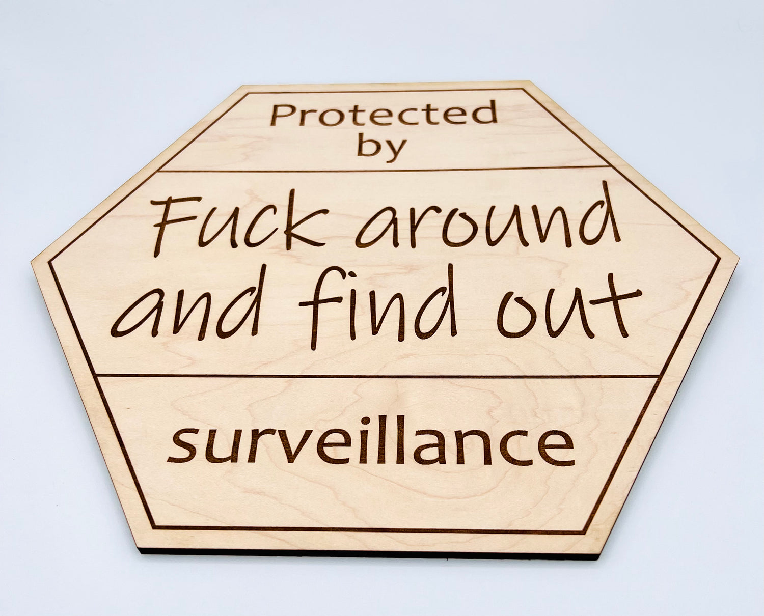 Protected by fuck around and find out surveillance sign